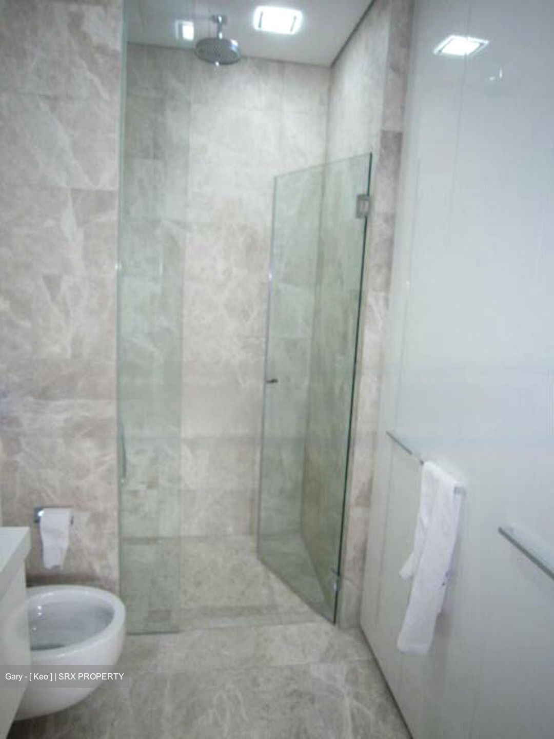 The Laurels (D9), Condominium #474765001
